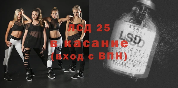 бошки Елабуга