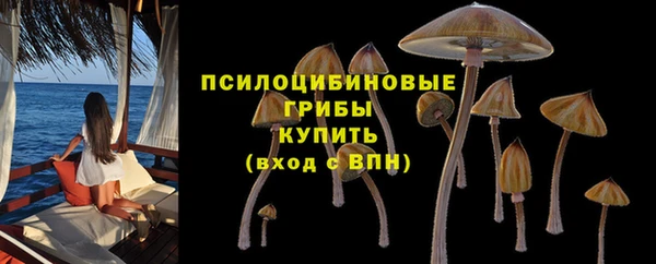 эйфоретик Алзамай