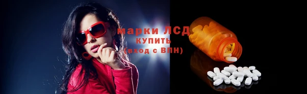 эйфоретик Алзамай