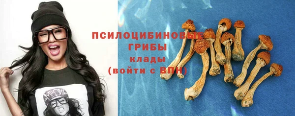 экстази Алексин